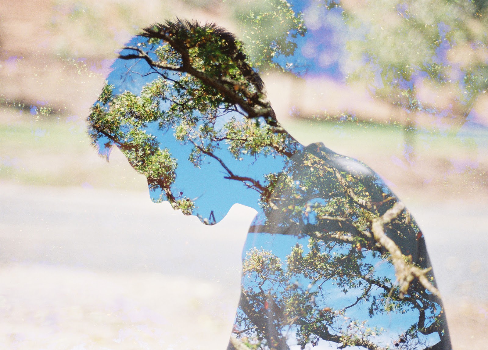 the fruit of a deep root