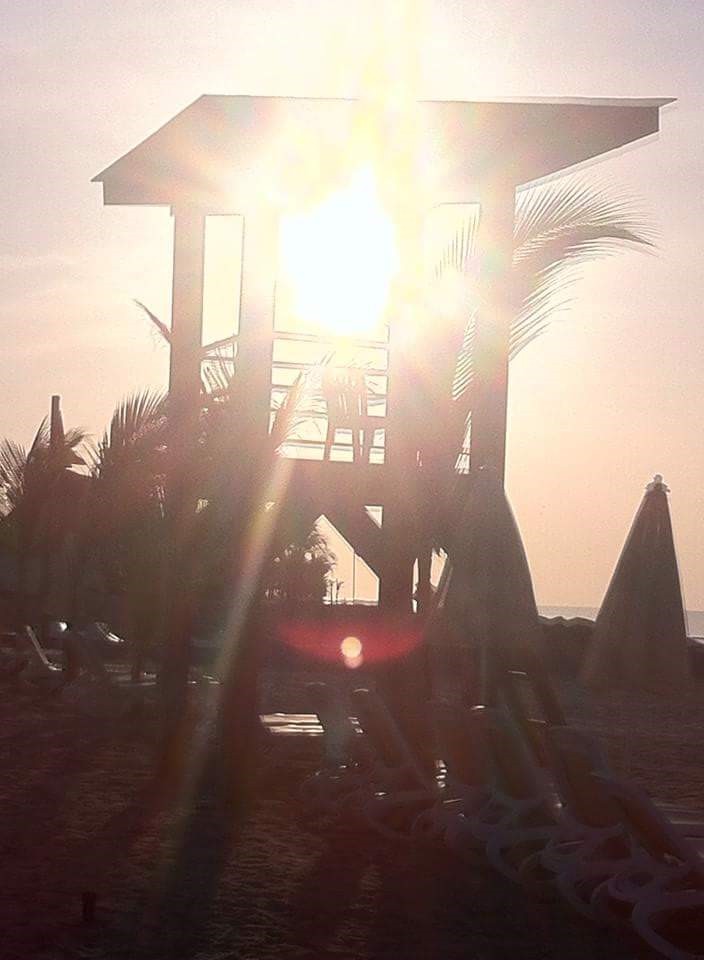 C__Data_Users_DefApps_AppData_INTERNETEXPLORER_Temp_Saved  Images_10406963_10152930575408266_3756758121486190450_n