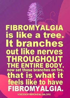 b5e76c37da8426bf12feecd128a227fa (1)