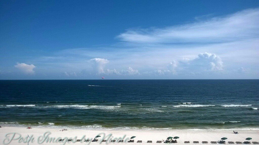 14125079_10155220507713266_4603713189586858068_o