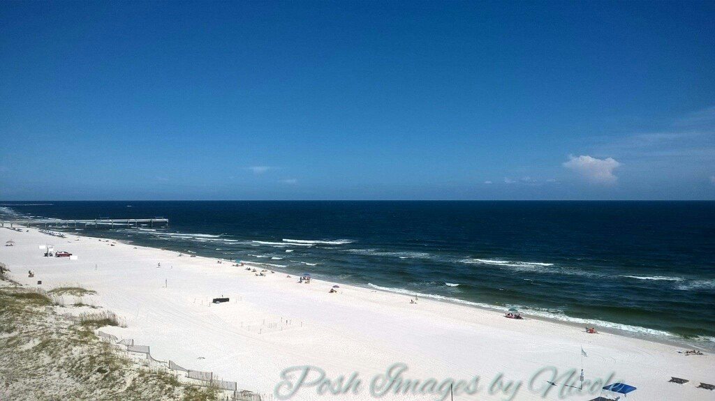 14188643_10155220513023266_6997682332527181594_o