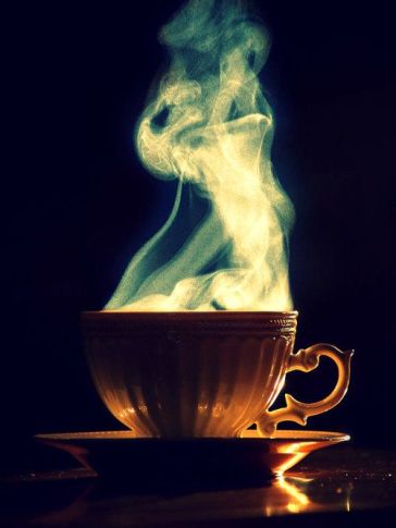 8685f29a0e8c6c009d74e5a38833240e