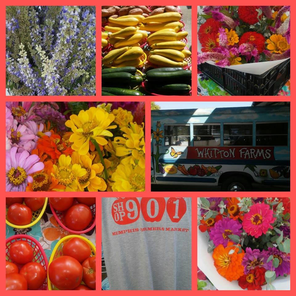 14317569_10155259368113266_8305755807815642807_n