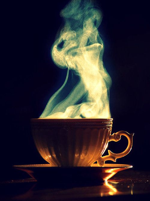 8685f29a0e8c6c009d74e5a38833240e