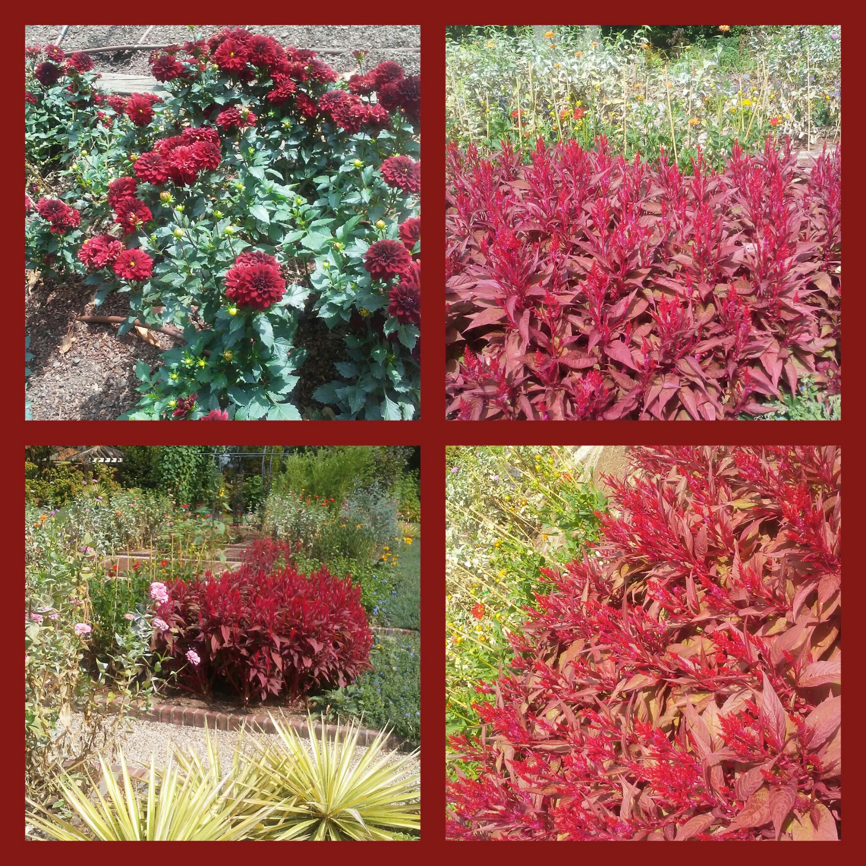 picsart_10-13-12-38-29