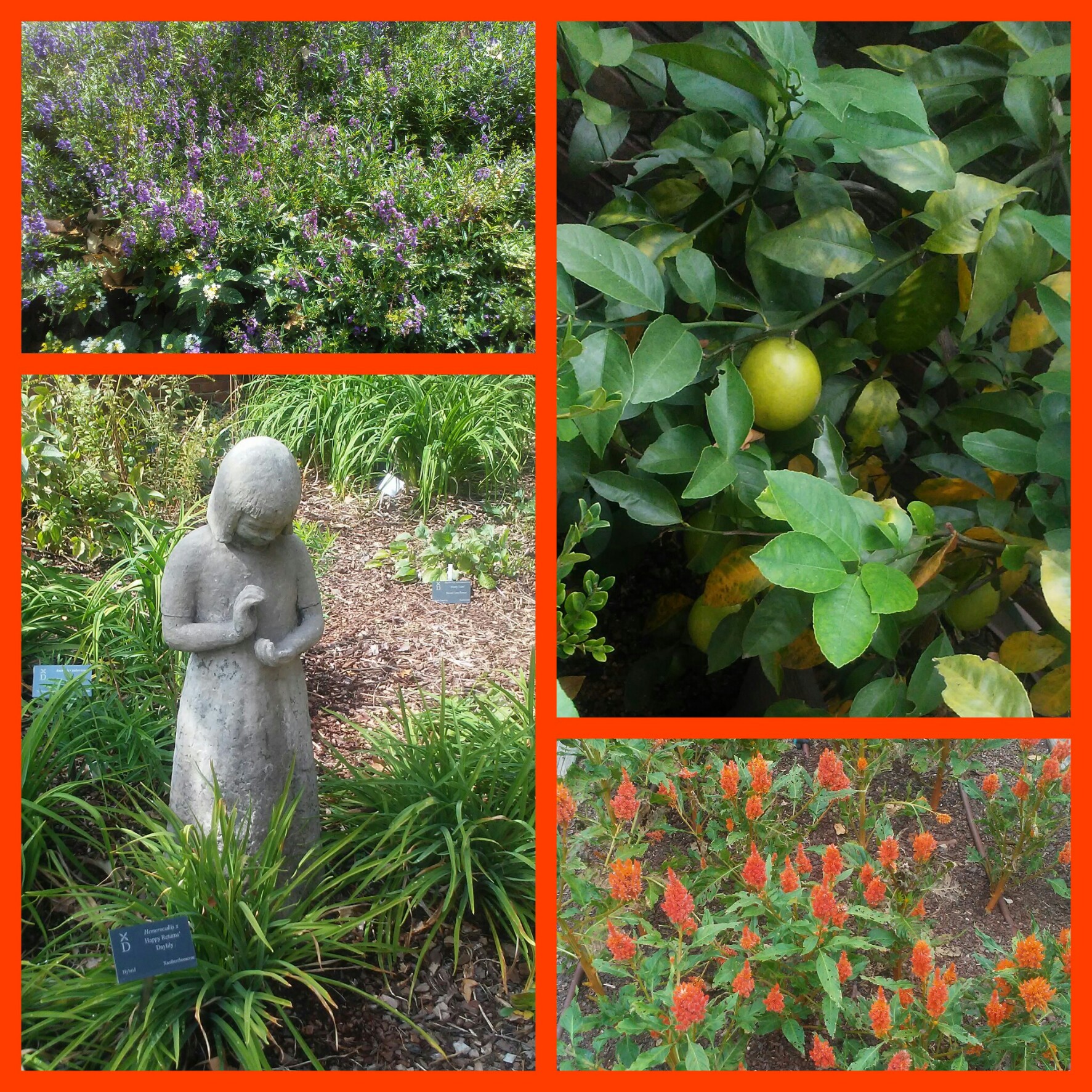 picsart_10-13-12-39-45