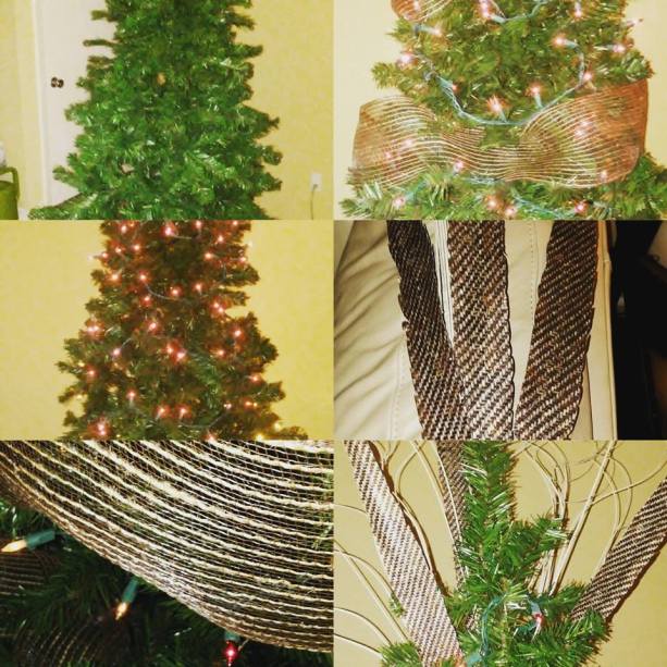 15181358_10155545605728266_8978725050957251169_n