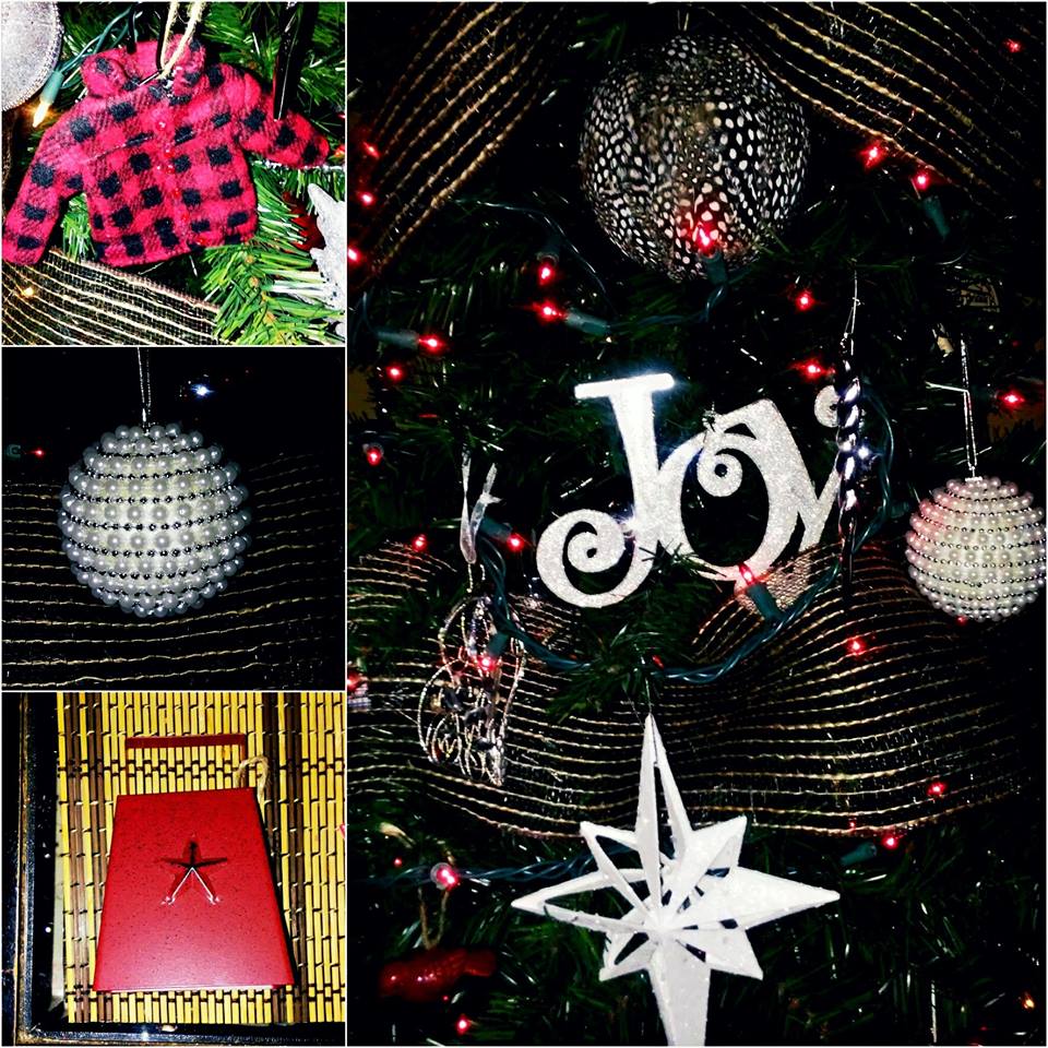 15203152_10155545608698266_572077576764251188_n