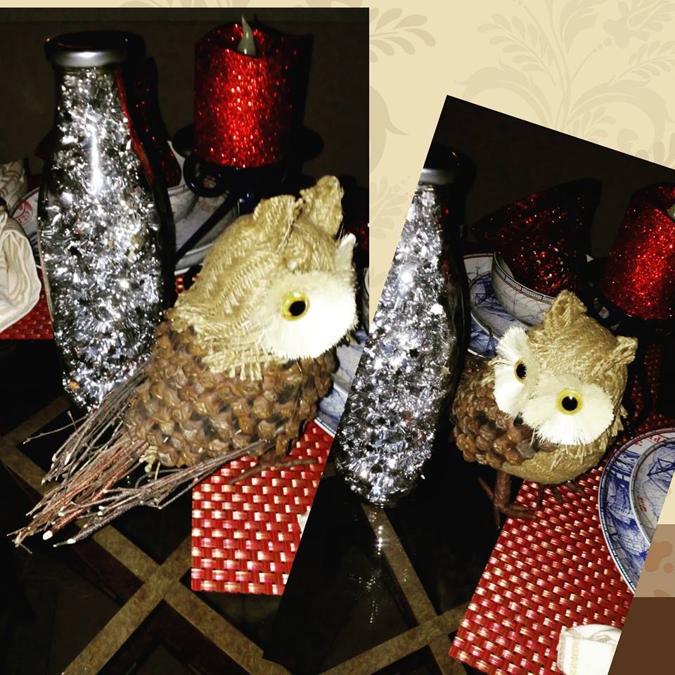 15230791_10155545612053266_2373713579442675516_n