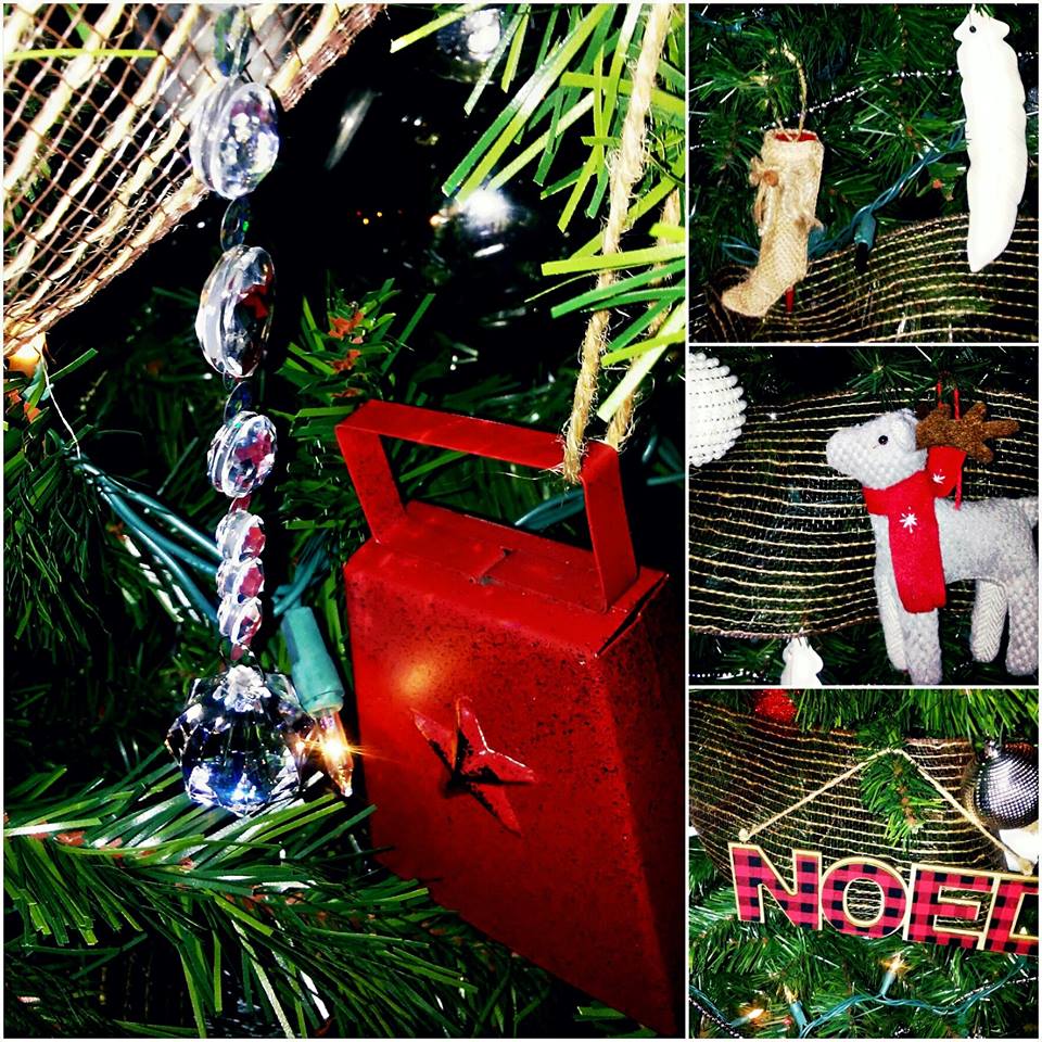 15232333_10155545609973266_308019716736611658_n