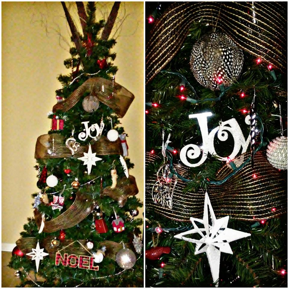 15241192_10155545607648266_4366478087743659025_n