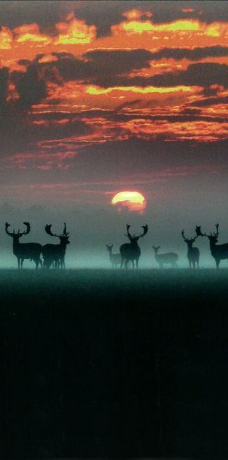 b1ffdcbf27c14ee946750e657a72f857