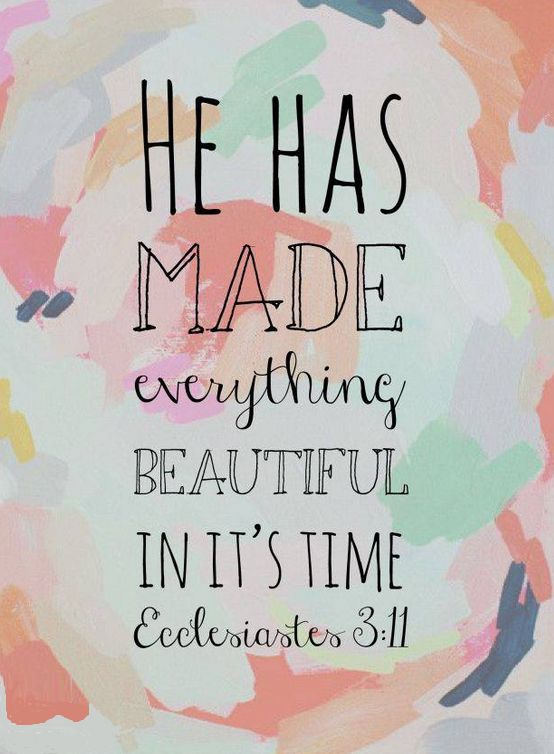 8dad6ed77e5e5fc177b8bb7961c934e1