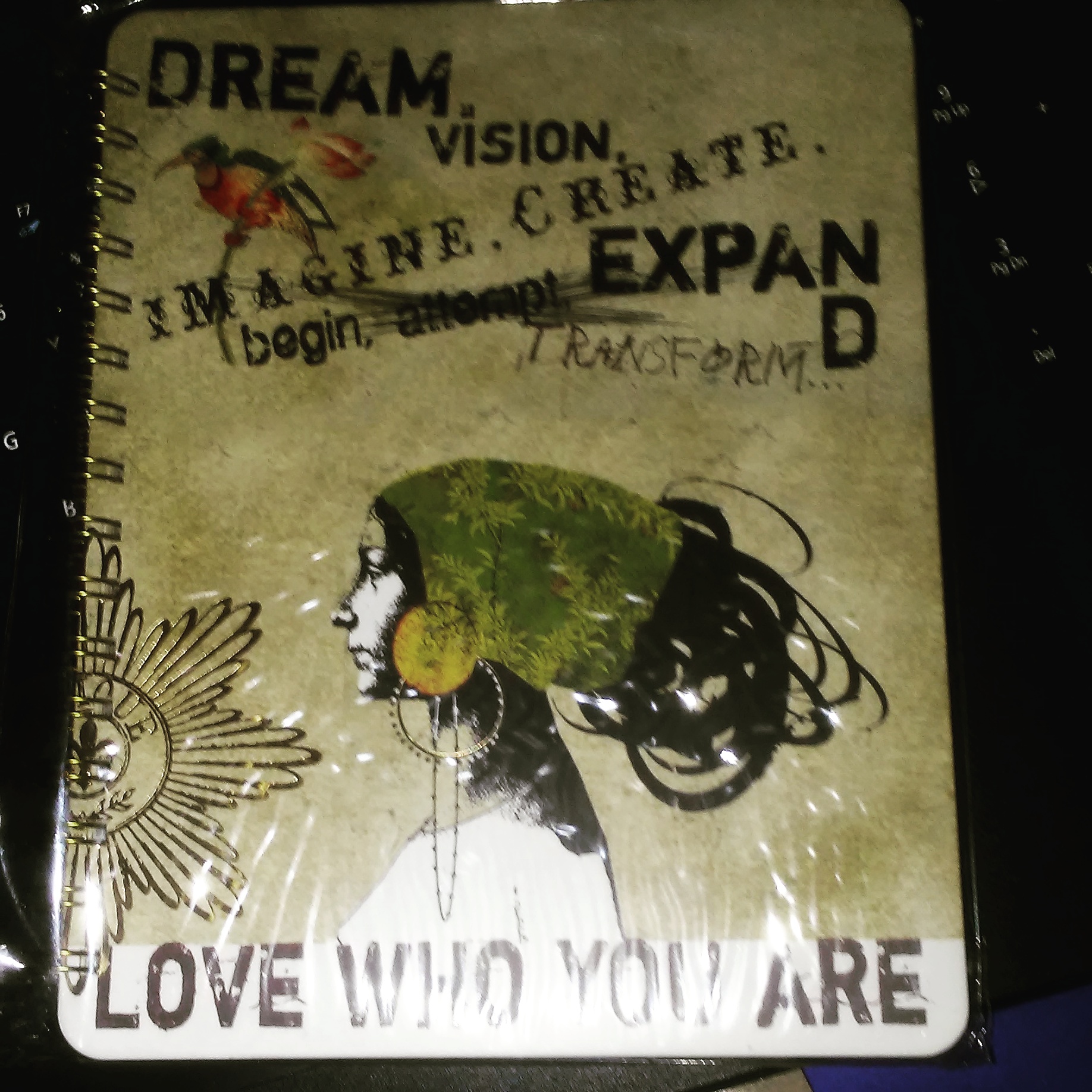 img_20170107_191951_347