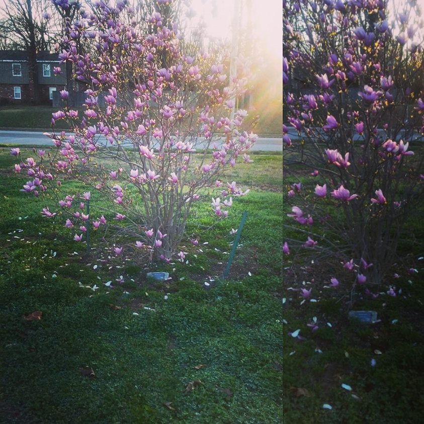 16904773_10155883832238266_5164601875930047811_o