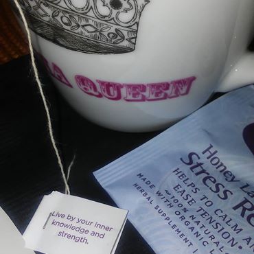 17523605_10156006001223266_3423055061827178814_n