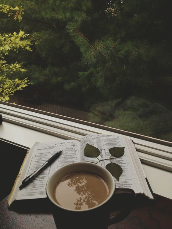 12d22fbeceaf25821bc99c204ecbe0d2