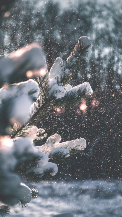 f8714c08c4c319efc3c643afd38af50f