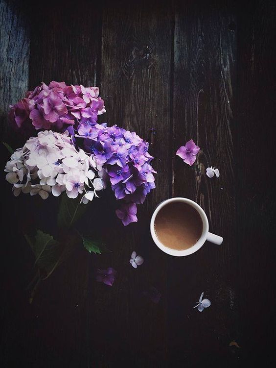 d685d05c3eda6460e1d63980ccf07e8d