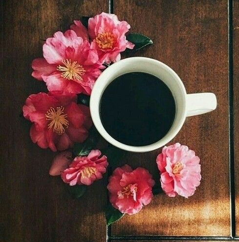 b8956ac4fe8ec412a8227732ed969a14