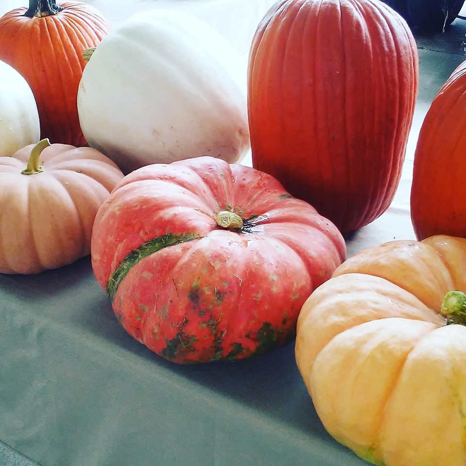 42311802_10157830605903266_1324841267279953920_n