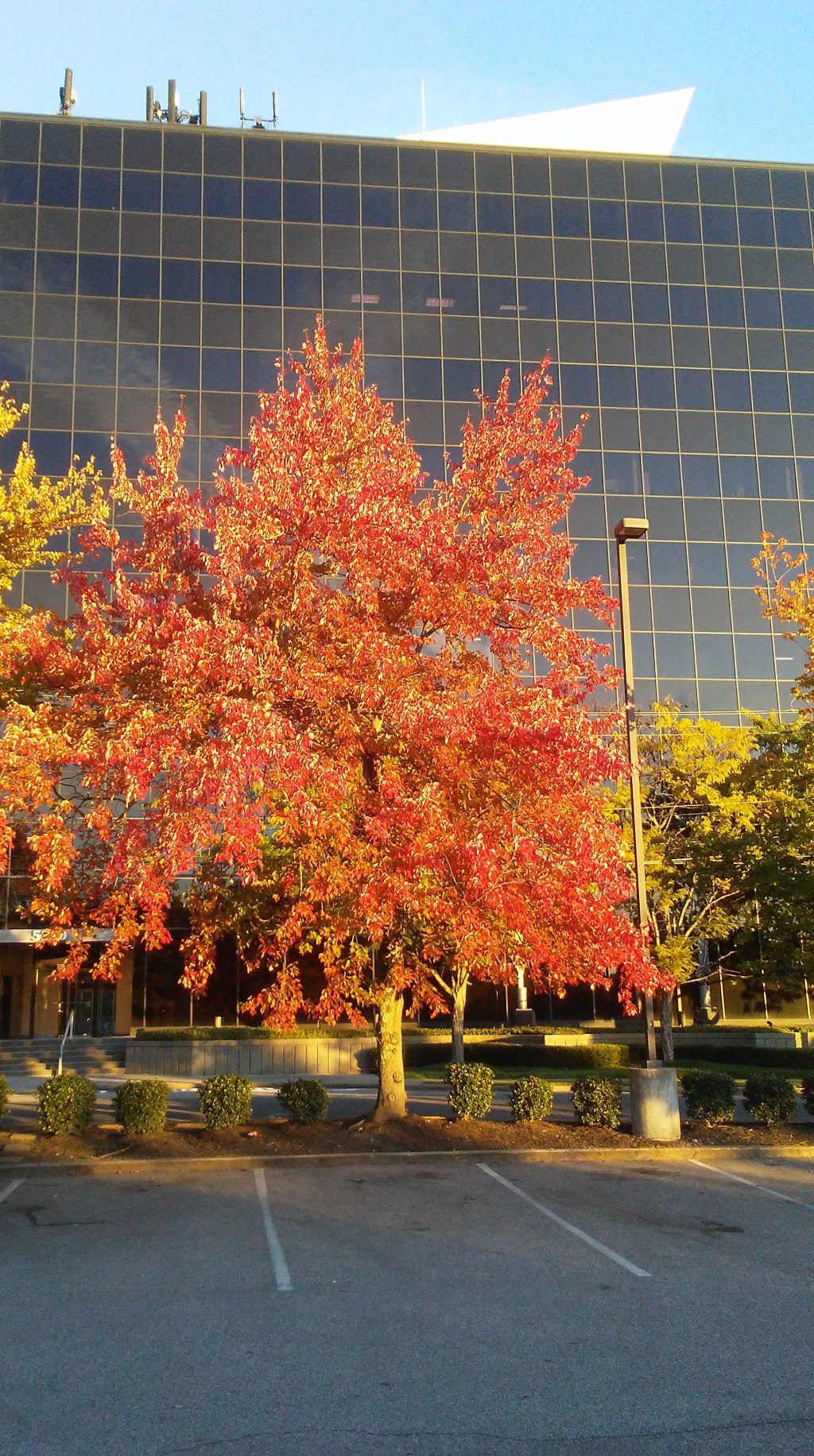 Fall Has It’s Own Confetti: About&nbsp;Town