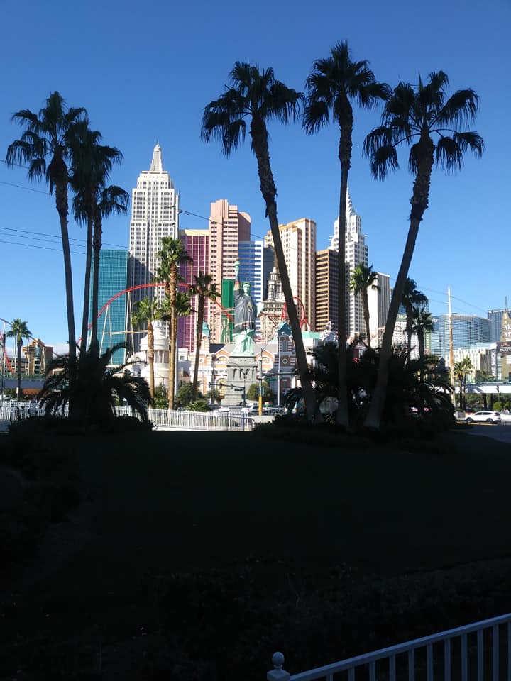 47314325_10158022523563266_5738508595914342400_n