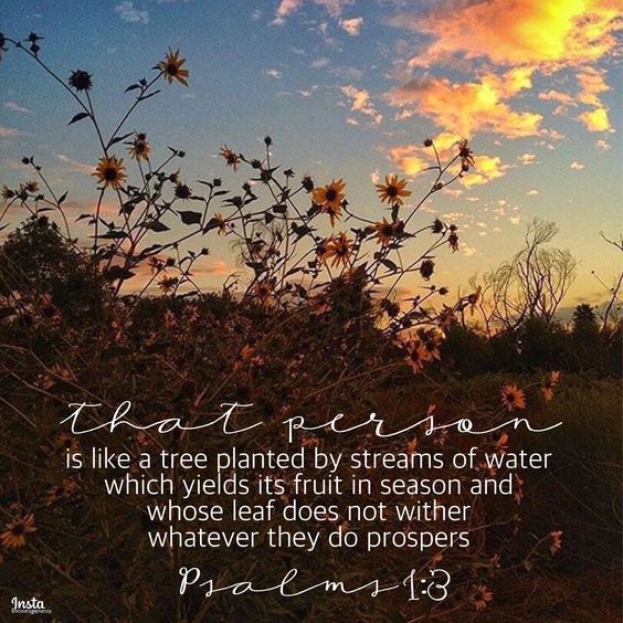 8367d9789fff65e86063edf94f57fb7d