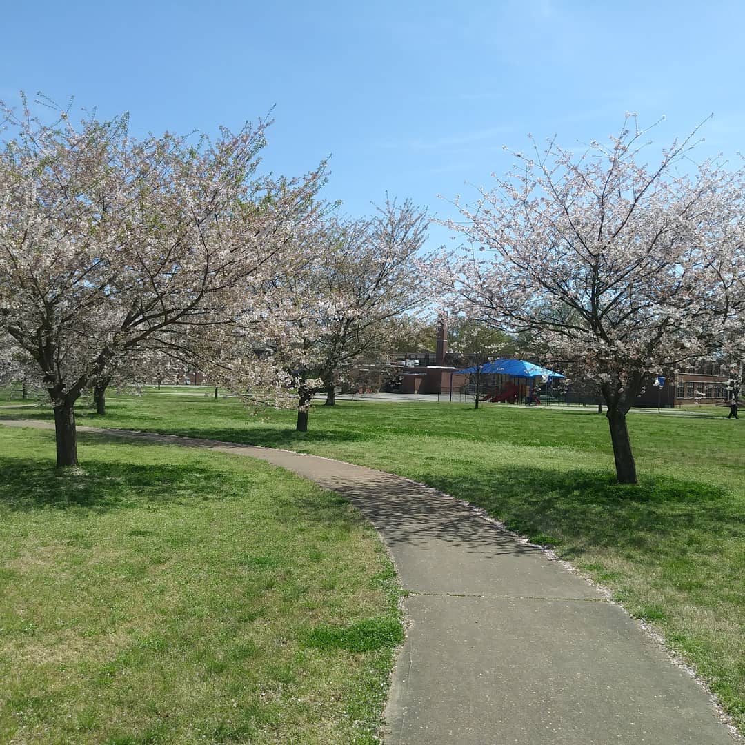 IMG_20200328_083353_634