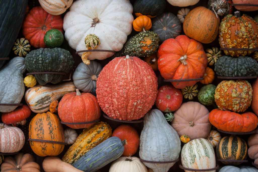 Blogtober:Reflections:Did I Nourish, Deprogram, and De/Re-condition?