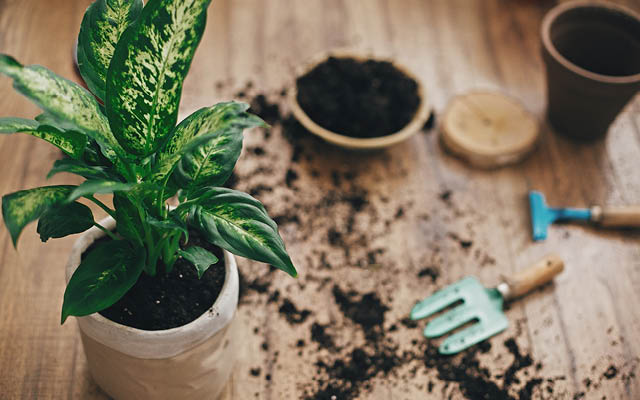 Midnight Musings: Feeling Bound by&nbsp;Nikki