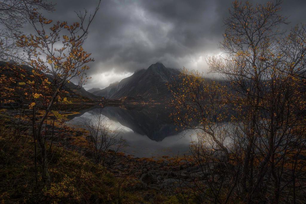 Blogtober:Reflections:Money Mayhem